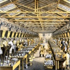 1830. Hollyrood cut & eng shop-HH